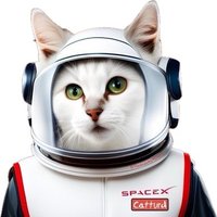 spaceforcecat (@lolobear775) 's Twitter Profile