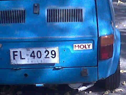 molycortez's profile picture. sᴏᴍᴇᴏɴᴇ sᴀɪᴅ ᴡᴇ ᴀʀᴇ ᴏᴜʀ ᴅʀᴇᴀᴍs