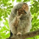 James  Abt - @Otjazz1 - Twitter