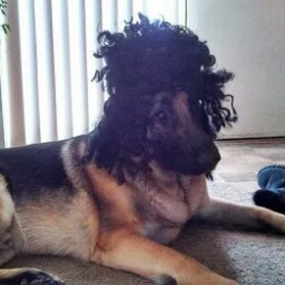 TasosB24198's profile picture. 