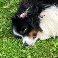 Jonathan P. (@thebookwyrmjon) 's Twitter Profile