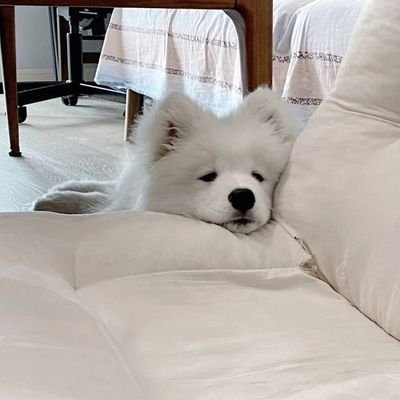 kulhidtrph26617's profile picture. 