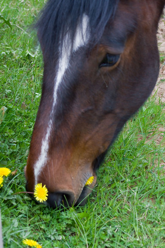 fipetrie's profile picture. If 'Plan A' didn't work, there are 25 more letters.