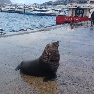 calfozo's profile picture. Village boy|Born again Christian |Love true democracy |Love 4 my country 🇿🇼| Hate corruption!