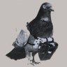 smartcontract_'s profile picture. All your node belong to us