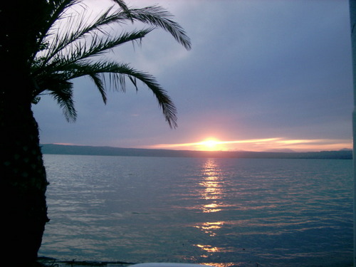 aullersma's profile picture. 