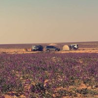 بندر بدر بن جملا (@ba_aljamla) 's Twitter Profile
