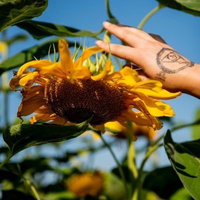 Sunshine | Brother, Son, Recording Artist, Producer, | Joyboy 🌤️🥁🪘|