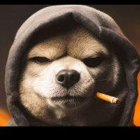jay420 (@bostonbaked0420) 's Twitter Profile Photo jay420 (@bostonbaked0420) 's Twitter Profile Photo