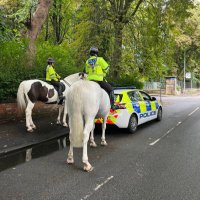 GM PC π (@gmpolicepc) 's Twitter Profile