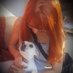 Şebnem_🐾 (@ebnemlh71572693) Twitter profile photo Şebnem_🐾 (@ebnemlh71572693) Twitter profile photo