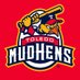 Toledo Mud Hens (@mudhens) Twitter profile photo Toledo Mud Hens (@mudhens) Twitter profile photo