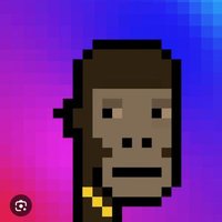 pulsechain_nameless (@pulse_nameless) 's Twitter Profile