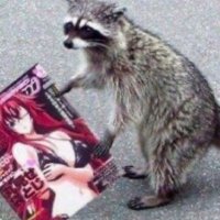 SAVK (@savksavkk) 's Twitter Profile Photo SAVK (@savksavkk) 's Twitter Profile Photo