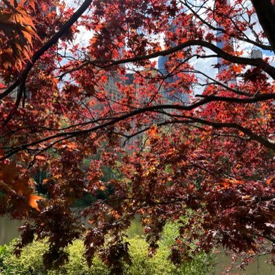 MBaluch123's profile picture. Tweets are personal views