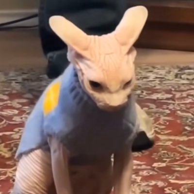 Rocatexさんのプロフィール画像