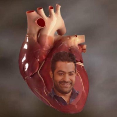 catFilter6094's profile picture. ....