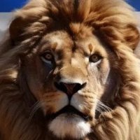anti democrats, pro Trump (@kodafluffy) 's Twitter Profile