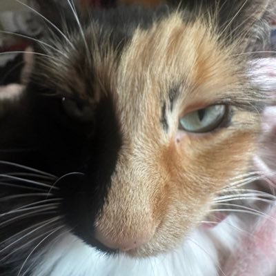 Meg.さんのプロフィール画像
