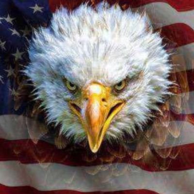 ChrisLFordham's profile picture. 