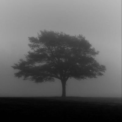 ayaan_khan0421's profile picture. 