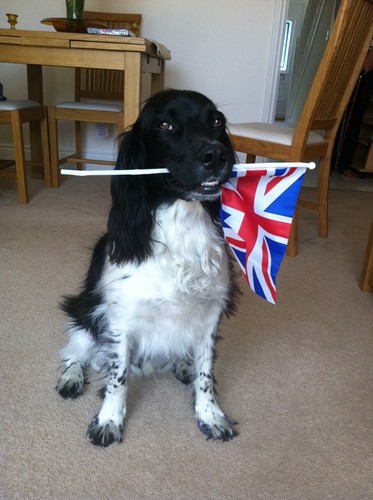 TitaniumRuby's profile picture. 