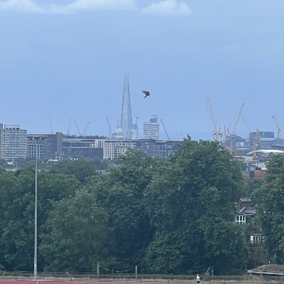 oliverpitt's profile picture. Dd