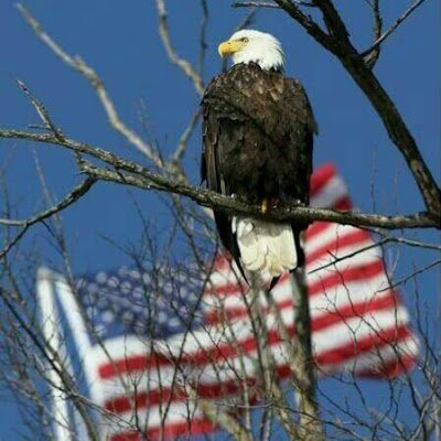 DennisDen14091's profile picture. 