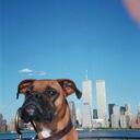 evans pierre - @evanspierre - Twitter