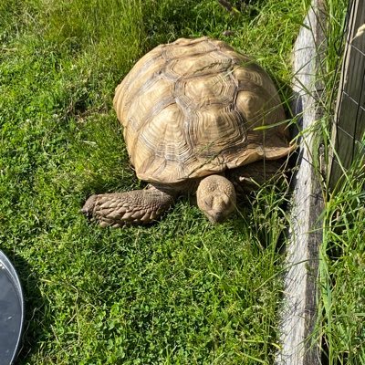 evel21573's profile picture. 