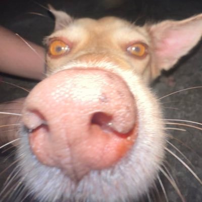 imrbm21's profile picture. 