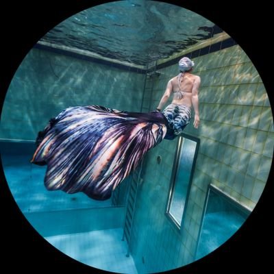 rf61229's profile picture. 물놀이를 좋아하는 신입 개발자