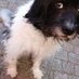 Klaas, staat nergens meer van te kijken. (@kla75509) Twitter profile photo Klaas, staat nergens meer van te kijken. (@kla75509) Twitter profile photo