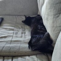 Moose (@moose977082) 's Twitter Profile Photo