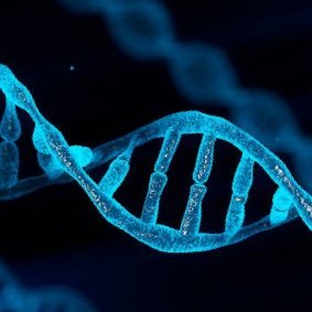 AbdulahadS42076's profile picture. pharmacist