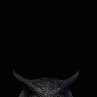 kriptoreis (@kriptokingreis) Twitter profile photo