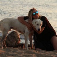hayvanların__sesi (@blmdmr) 's Twitter Profile