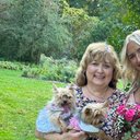 Sue Conrad - @conrad94095 - Twitter