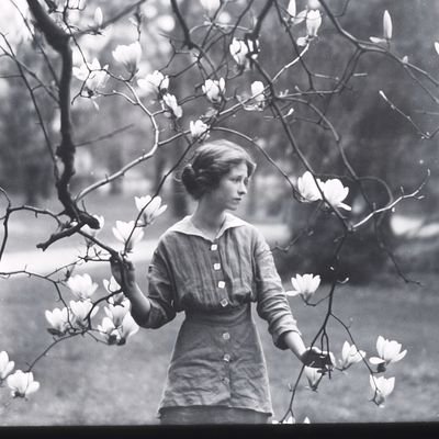 kou_brainburner's profile picture. 脳を焼いて生きる。