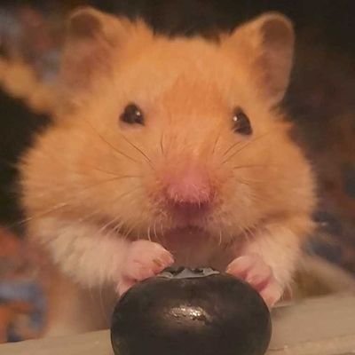 BudsLD's profile picture. 