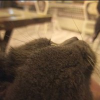 Diyetisyen Aslan (@dytaslann) 's Twitter Profile Photo