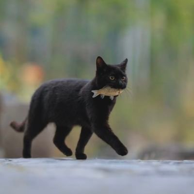 floatswimfly's profile picture. 21 | ,,,what