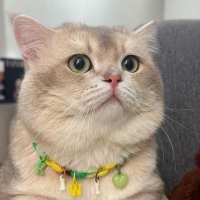 nrlnla91's profile picture. 