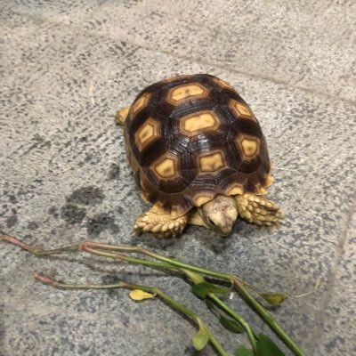 co0103658530018's profile picture. 