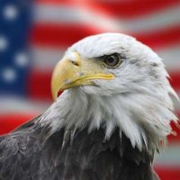 David Jones (@dpj1108) 's Twitter Profile
