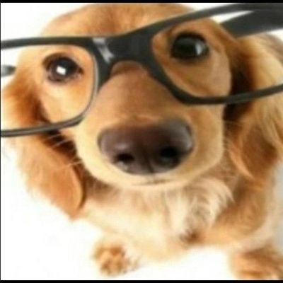 roki !さんのプロフィール画像