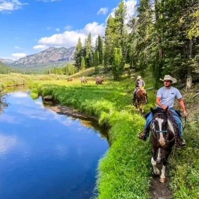 MCas86's profile picture. ᐰ