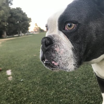 mcnevin_tr33738's profile picture. 