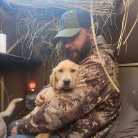 HLFNUT (@hlfnut) 's Twitter Profile