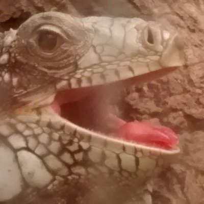 gucb79's profile picture. 